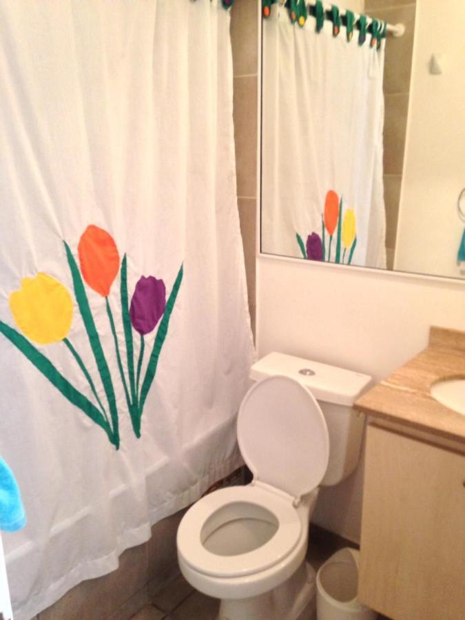 Apartamento Departamentos Diario En